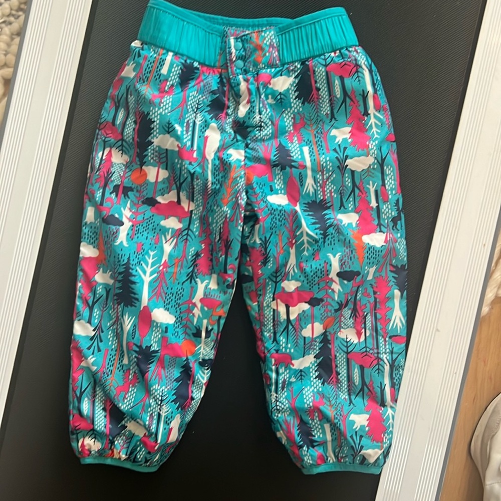 Patagonia winter pants